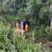 Carro capota na BR-267 durante chuva e motorista é socorrida no Sul de Minas