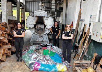 PCMG incinera drogas e destrói materiais ligados ao crime no Sul de Minas