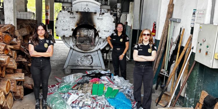 PCMG incinera drogas e destrói materiais ligados ao crime no Sul de Minas