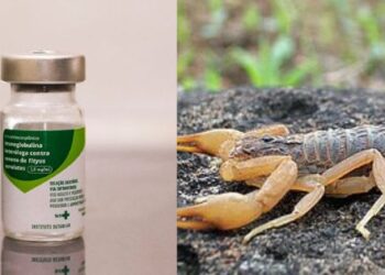 Soro antiescorpiônico já está disponível em Passos, Alfenas e outros municípios