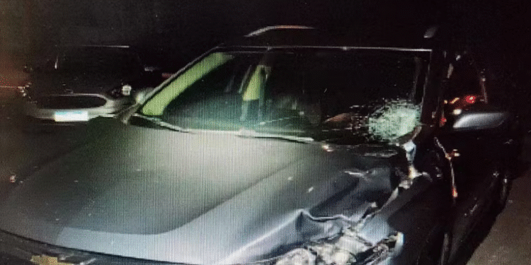 Jovem de 24 anos é internado em estado grave atropelamento na BR-146