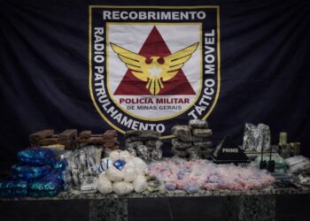 VÍDEO | PMMG realizada grande apreensão de drogas em Alfenas (MG)