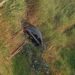 Carro sai da pista e cai em barranco às margens da MG-184 em Areado no Sul de Minas