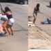 VÍDEO: Mulher é agredida com bastões durante briga no Sul de Minas