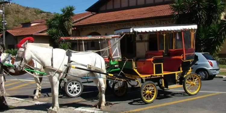 Fim das charretes: Prefeitura inicia pagamento a trabalhadores em Poços