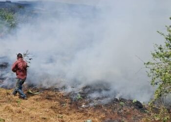 Incêndio em pasto mobiliza Defesa Civil em área residencial
