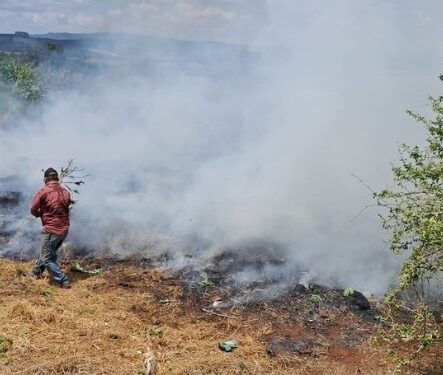 Incêndio em pasto mobiliza Defesa Civil em área residencial