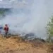Incêndio em pasto mobiliza Defesa Civil em área residencial