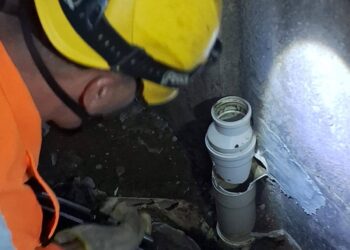 Gato é resgatado de tubulação por bombeiros no Sul de Minas