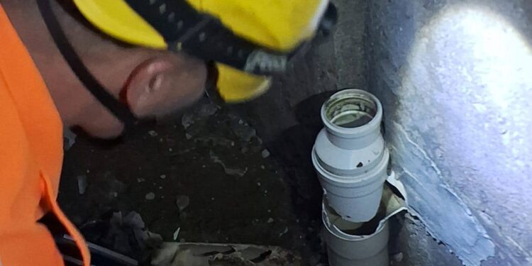 Gato é resgatado de tubulação por bombeiros no Sul de Minas