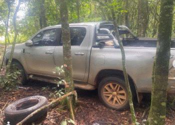 Caminhonete furtada é encontrada abandonada na zona rural de Alfenas(MG)