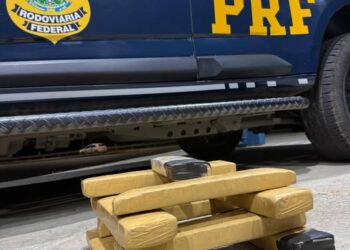 Passageiro é preso com quase 10 kg de maconha na Fernão Dias, em Pouso Alegre