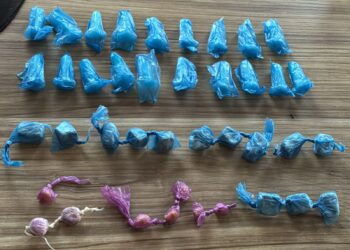 Menor de 17 anos é apreendido com drogas durante Operação Antidrogas em Alfenas (MG)