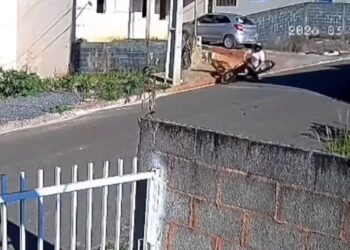 VÍDEO | Motociclista fica ferida após tentar desviar de cães soltos em Nova Resende (MG)