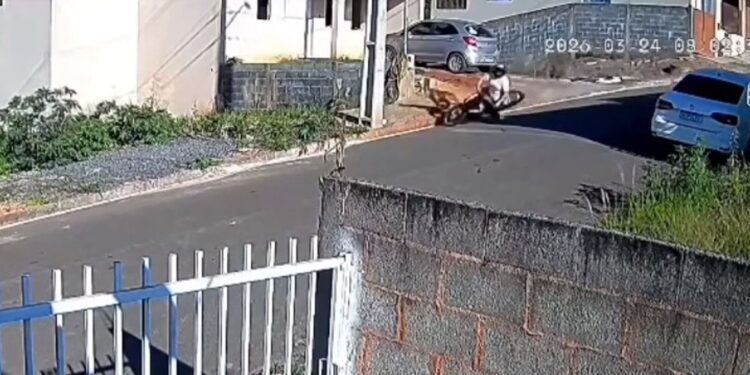 VÍDEO | Motociclista fica ferida após tentar desviar de cães soltos em Nova Resende (MG)