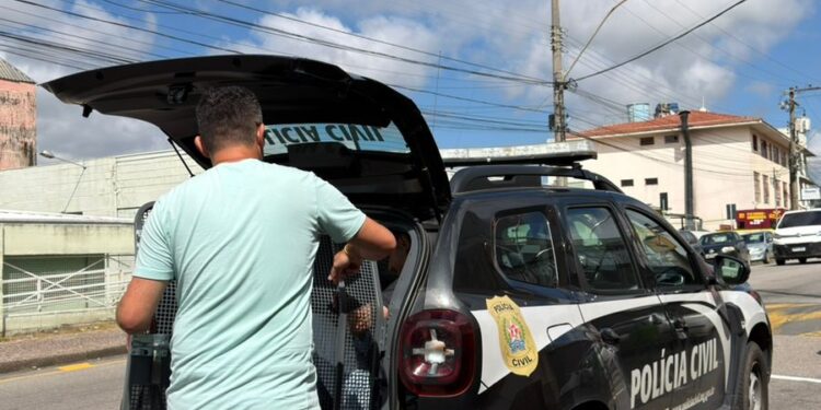 LEI MARIA DA PENHA: Homem é preso pela Polícia Civil por violência doméstica no Sul de Minas