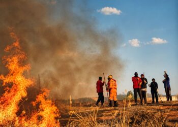 Primeiro Curso de Brigada Florestal reforça prevenção a incêndios no Sul de Minas
