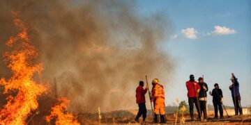 Primeiro Curso de Brigada Florestal reforça prevenção a incêndios no Sul de Minas