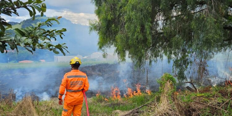 Incêndio atinge lotes vagos e mobiliza bombeiros no Sul de Minas