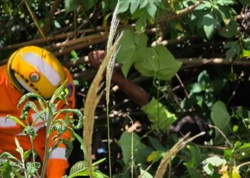 Homem é resgatado após cair em ribanceira no Sul de Minas