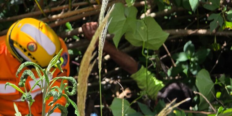 Homem é resgatado após cair em ribanceira no Sul de Minas