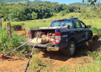 Guarda Municipal recupera equipamentos e sacas de café furtados em sítio no Sul de Minas