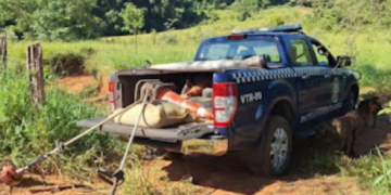 Guarda Municipal recupera equipamentos e sacas de café furtados em sítio no Sul de Minas