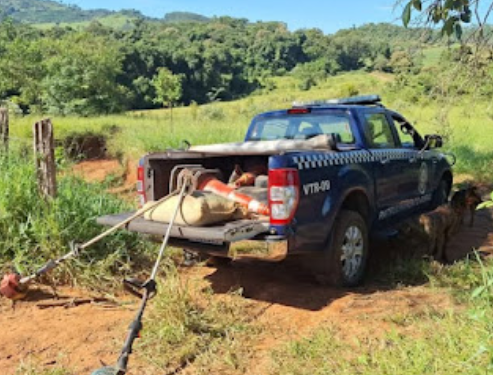 Guarda Municipal recupera equipamentos e sacas de café furtados em sítio no Sul de Minas