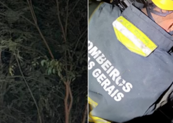 Carro cai em ribanceira após atingir animal na pista e deixa duas pessoas feridas