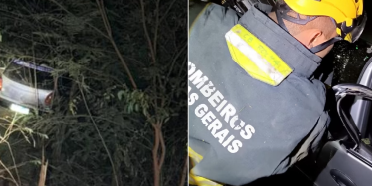 Carro cai em ribanceira após atingir animal na pista e deixa duas pessoas feridas