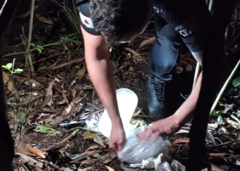 VÍDEO | Homem é preso por tráfico de drogas durante operação da Polícia Civil