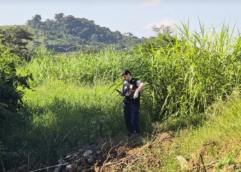 Foto: Reprodução/ Alô Alô Cidade