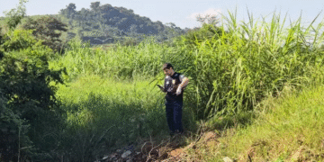 Foto: Reprodução/ Alô Alô Cidade