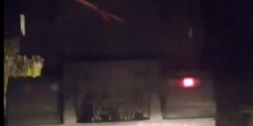 VÍDEO | Mesmo interditada, Ponte Torta na BR-265 em Carmo segue sendo utilizada por caminhoneiros durante a noite e madrugada