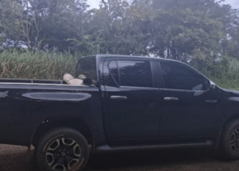 PM apreende Hilux furtada na MG-050 em Alpinópolis