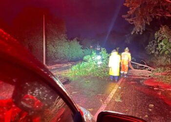 Temporal provoca quedas de árvores e mobiliza Bombeiros em Machado e região