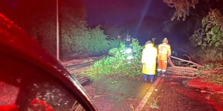 Temporal provoca quedas de árvores e mobiliza Bombeiros em Machado e região