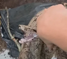 Fonte: Passos Online