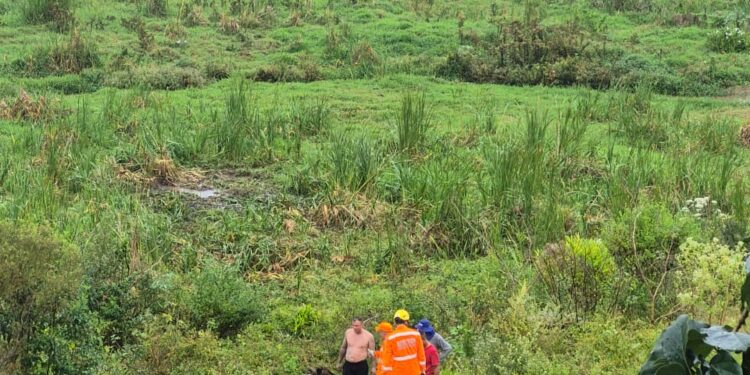 Bombeiros resgatam cavalo atolado em lamaçal em Guaxupé