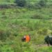 Bombeiros resgatam cavalo atolado em lamaçal em Guaxupé