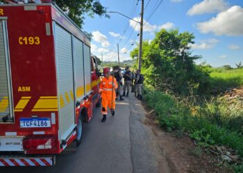 Corpo carbonizado é encontrado em área de difícil acesso em Pouso Alegre