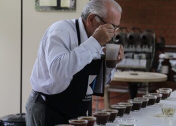 Novo protocolo transforma avaliação dos cafés especiais no Brasil 