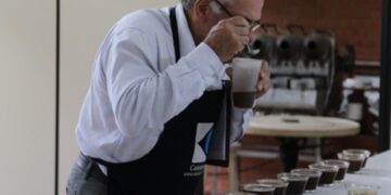 Novo protocolo transforma avaliação dos cafés especiais no Brasil