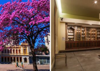 Feira da Estação realiza edição especial de Dia das Mães no SESI Museu de Artes e Ofícios 