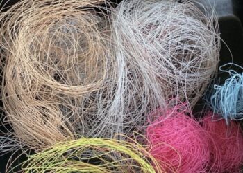 Guarda Municipal apreende linhas com cerol e orienta envolvidos em operação de fiscalização