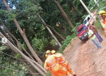 Bombeiros e Defesa Civil realizam ação preventiva após queda de galho em Machado (MG)