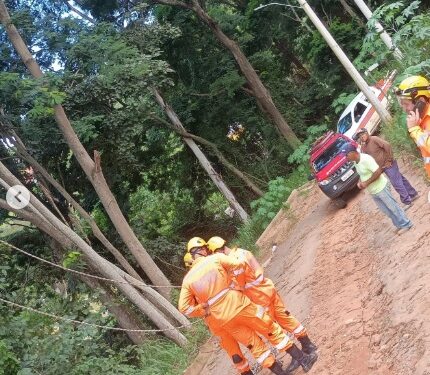 Bombeiros e Defesa Civil realizam ação preventiva após queda de galho em Machado (MG)