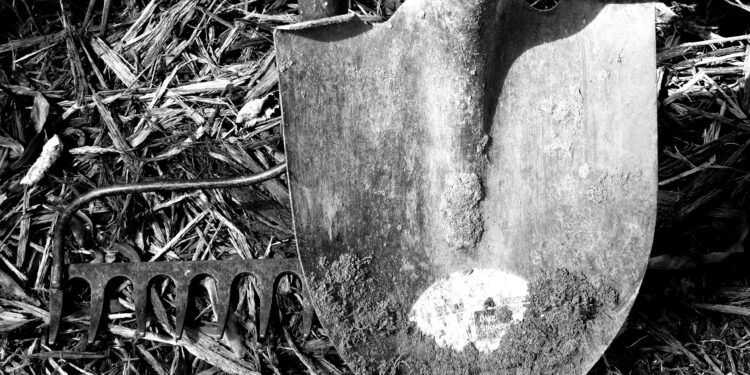 Governo Federal atualiza “lista suja” do trabalho escravo e inclui sítio de Conceição da Aparecida