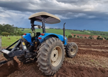 Foto: Reprodução/ Diário Independente
