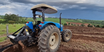 Foto: Reprodução/ Diário Independente